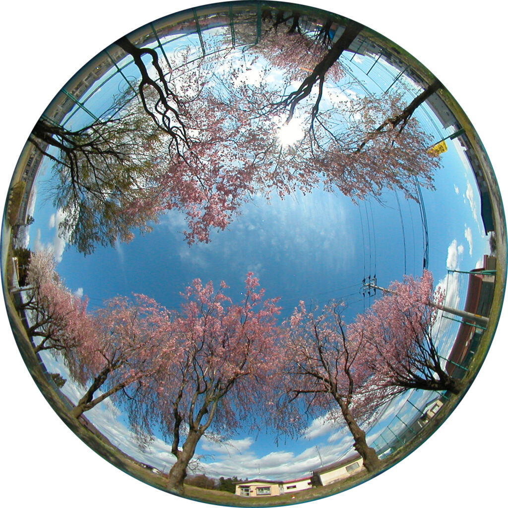 東通路付近 – 盛岡市立生出小学校